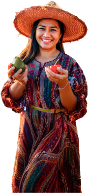 Calendario de Producción