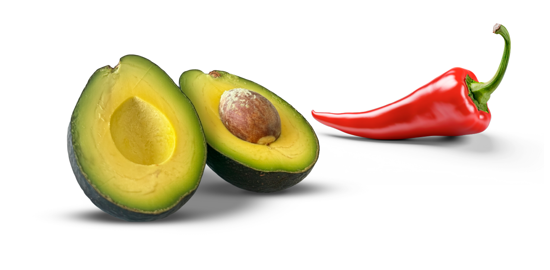 Bienvenido a Agropecuaria San Ramón